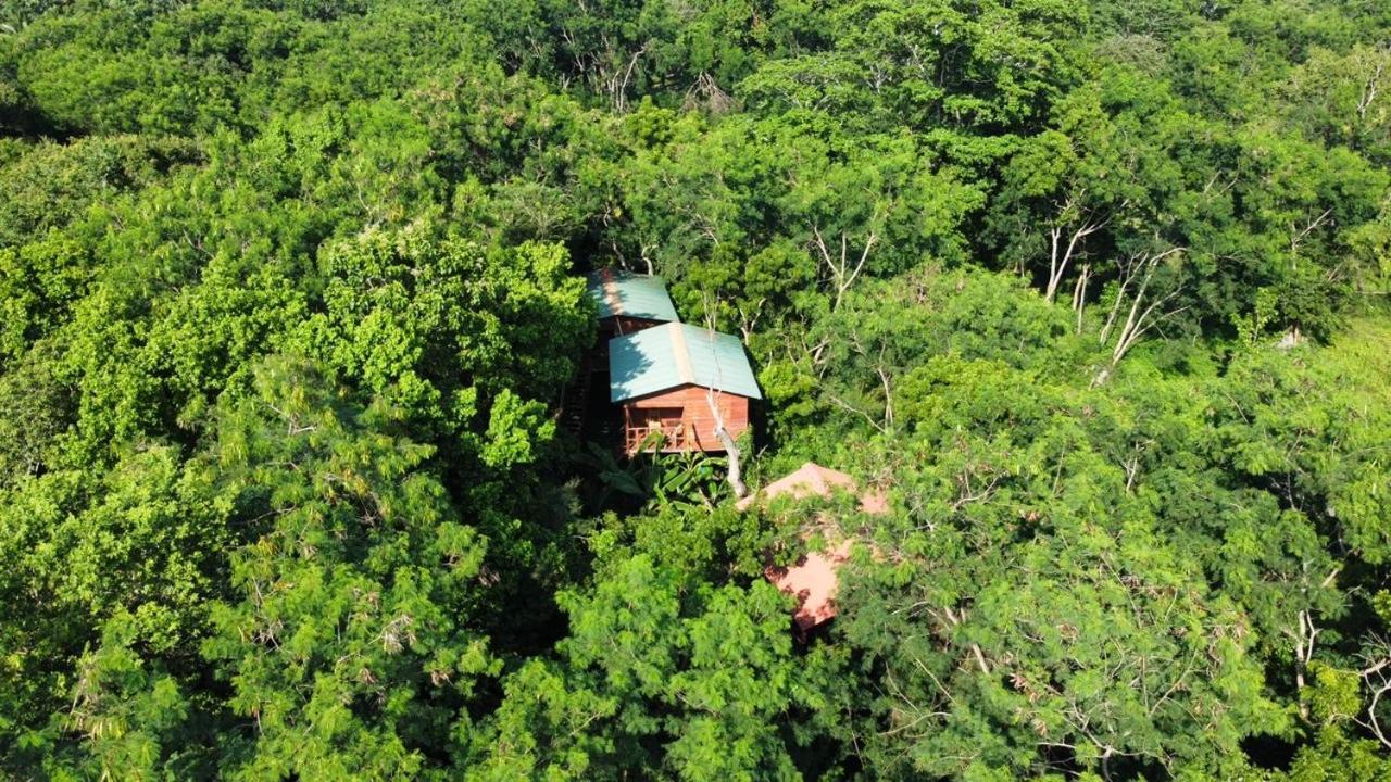 Tree House Hostel Sigirîya Extérieur photo