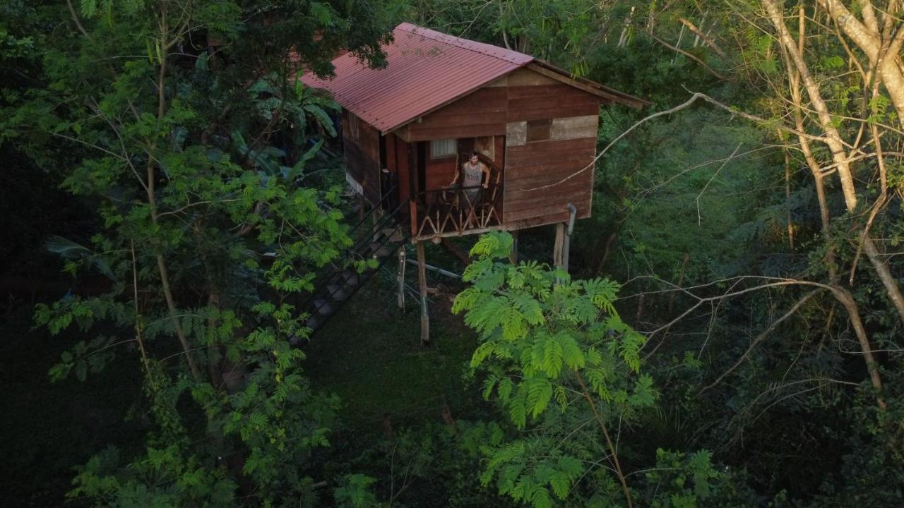 Tree House Hostel Sigirîya Extérieur photo