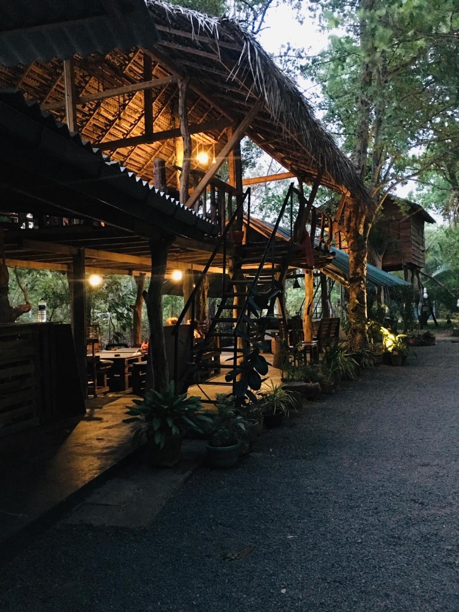 Tree House Hostel Sigirîya Extérieur photo