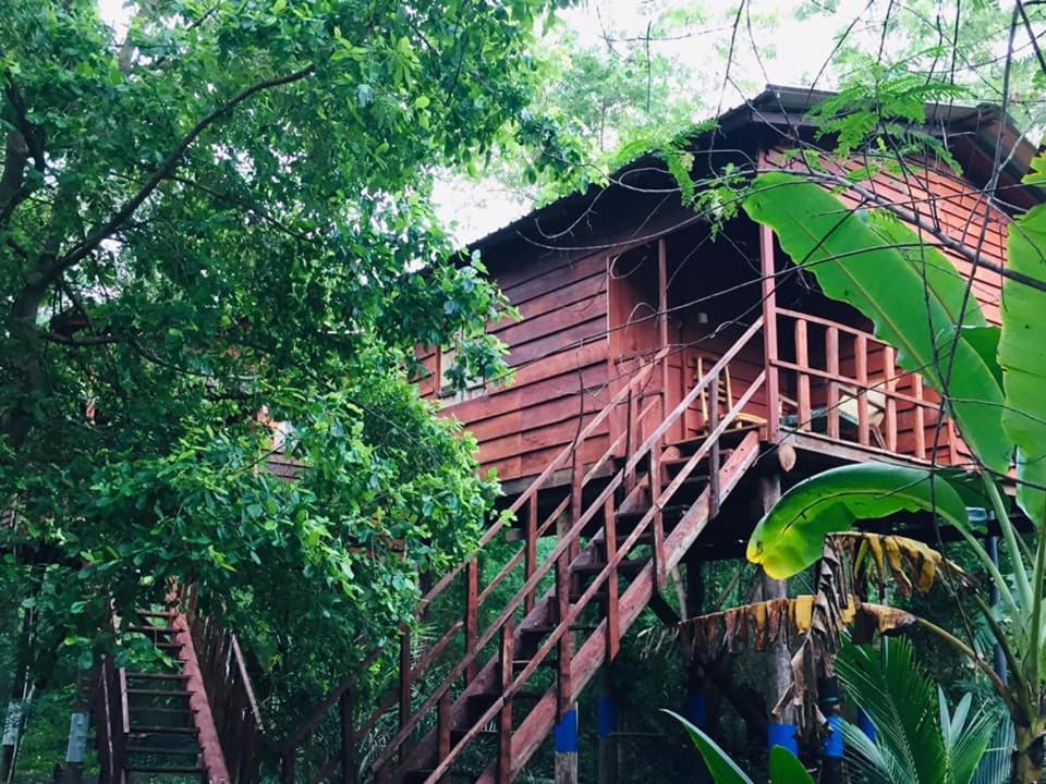 Tree House Hostel Sigirîya Extérieur photo