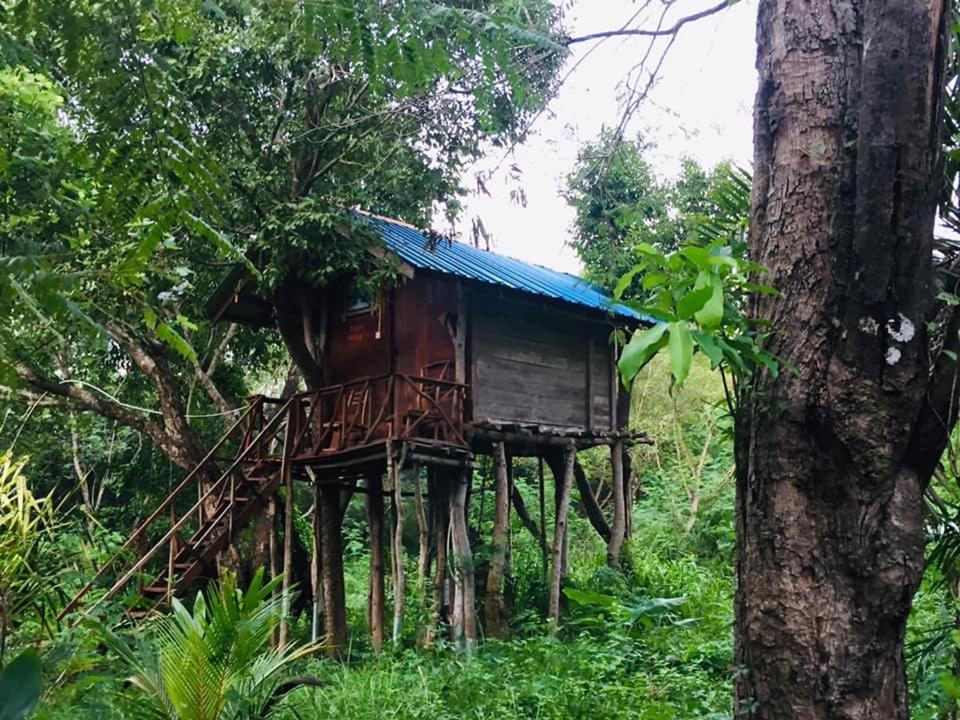 Tree House Hostel Sigirîya Extérieur photo
