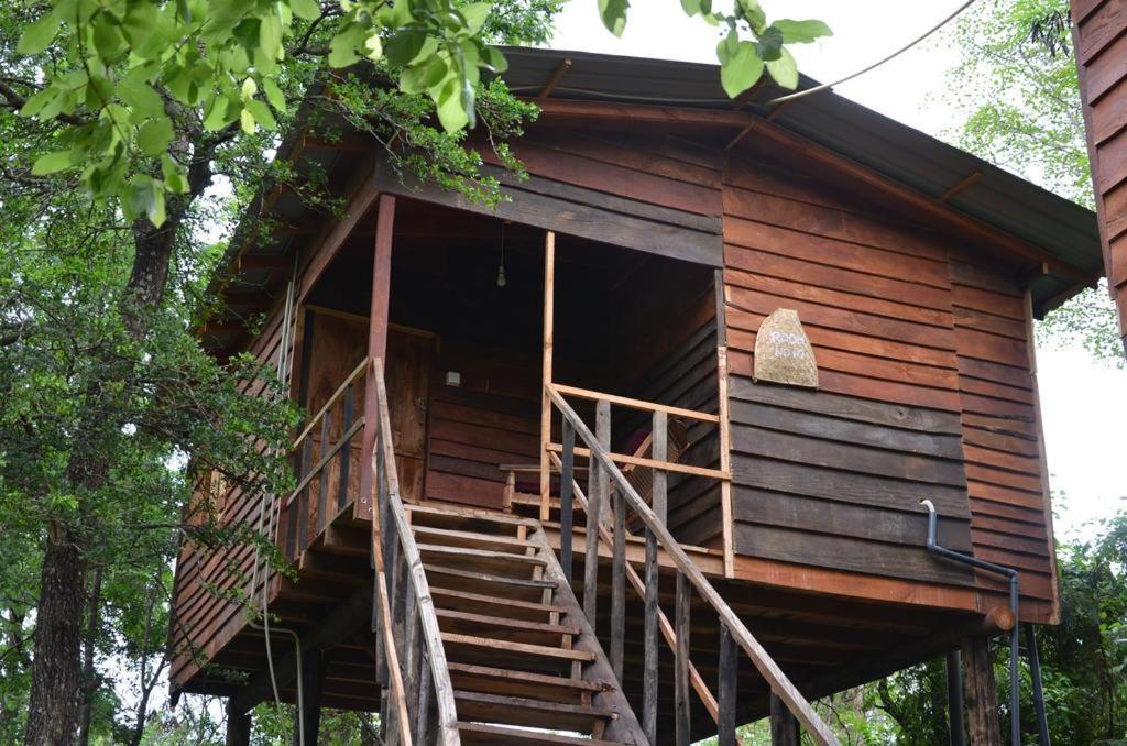 Tree House Hostel Sigirîya Extérieur photo